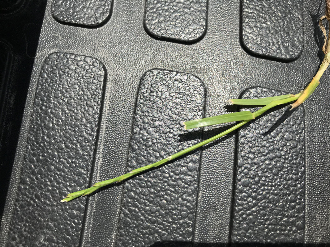 0AF871C6-8C1C-483E-926E-AA80CA6D5505