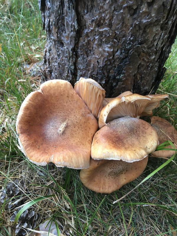 FE41F4A5-1D32-4B89-BFA9-C974012AE76D