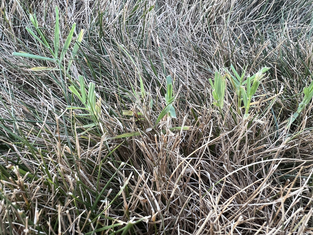 FC4CDDB9-C518-4001-820B-EF010430F053