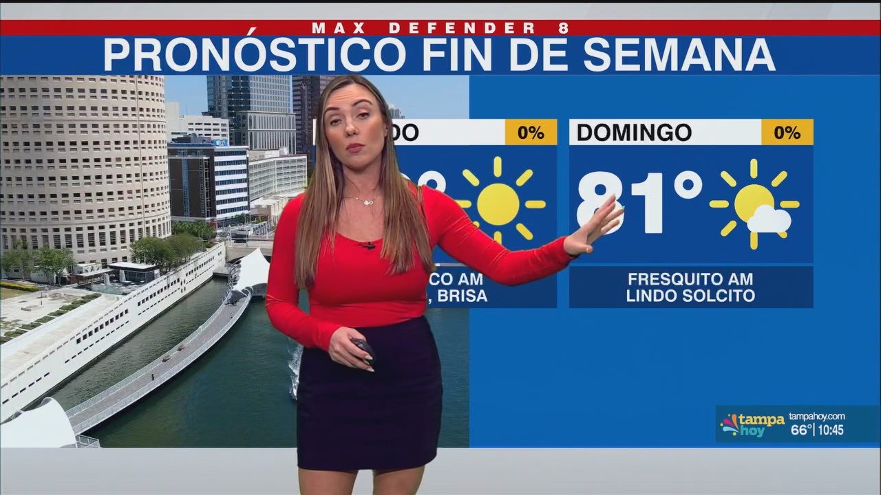 Noticias Tampa Hoy_20241116_03300400.ts_snapshot_16.21.964