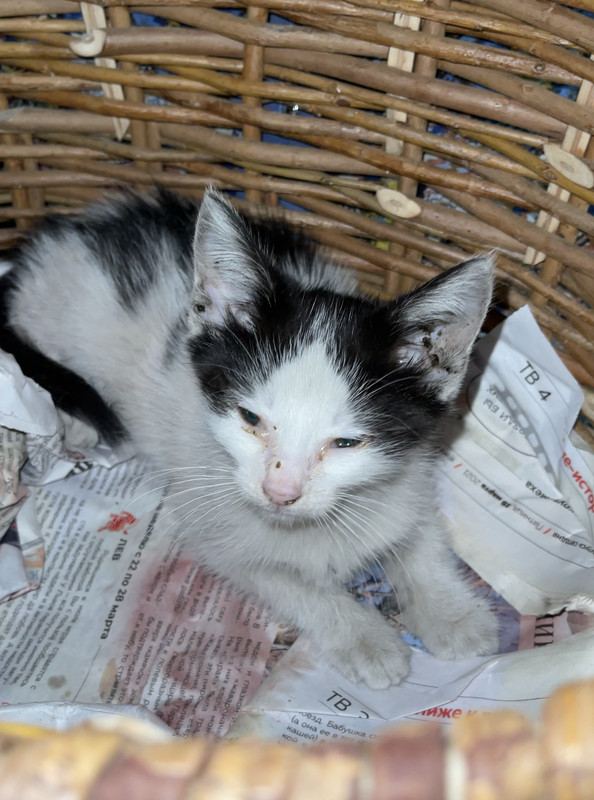 FA3E694E-4D10-4F60-904A-6AFA8DA8DCBE