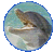 Imatge