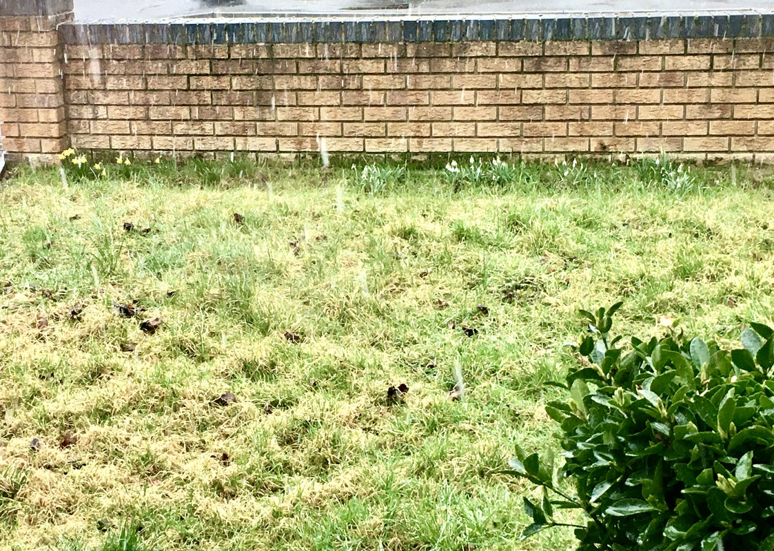 D7680A7B-E246-476C-A832-68342EFFF4F9