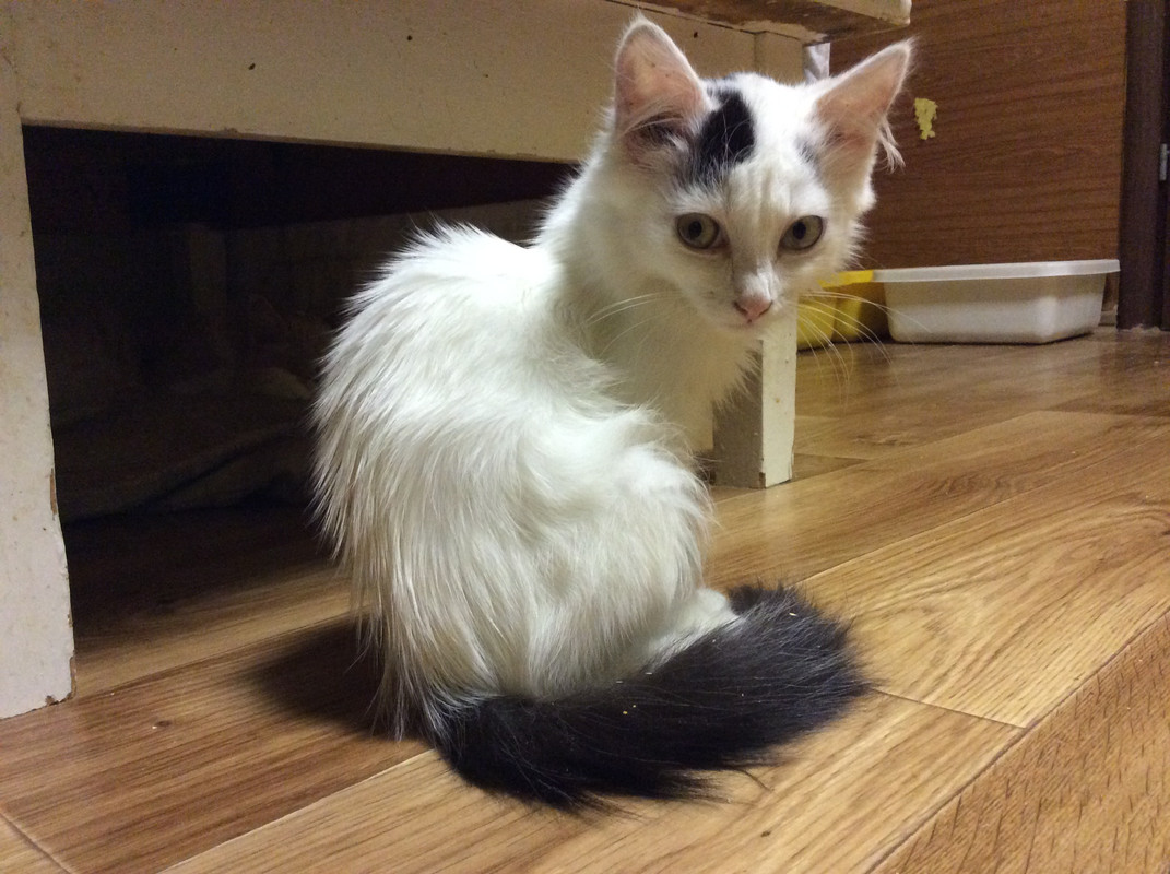 10AC8B49-A67B-45B4-A8DE-C189A84AF6F6