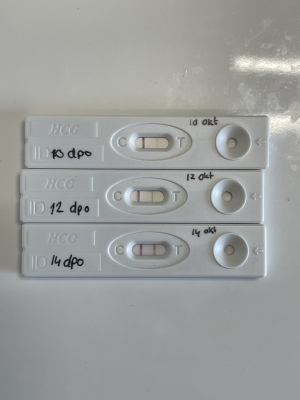 66626385-1950-4015-8ED2-057FD1BA20F5