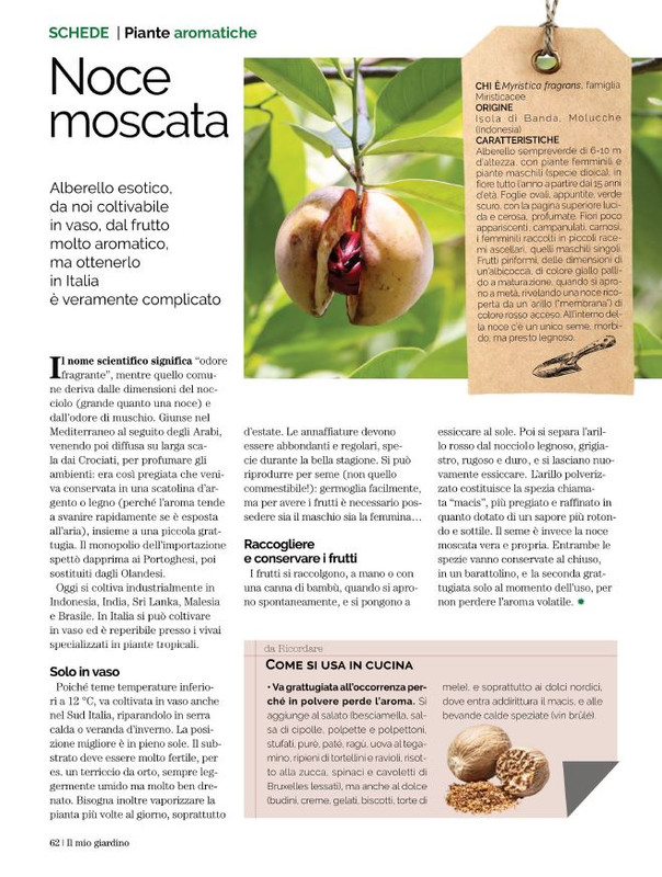 Il Mio Giar Nov-Dic 2021 (9)