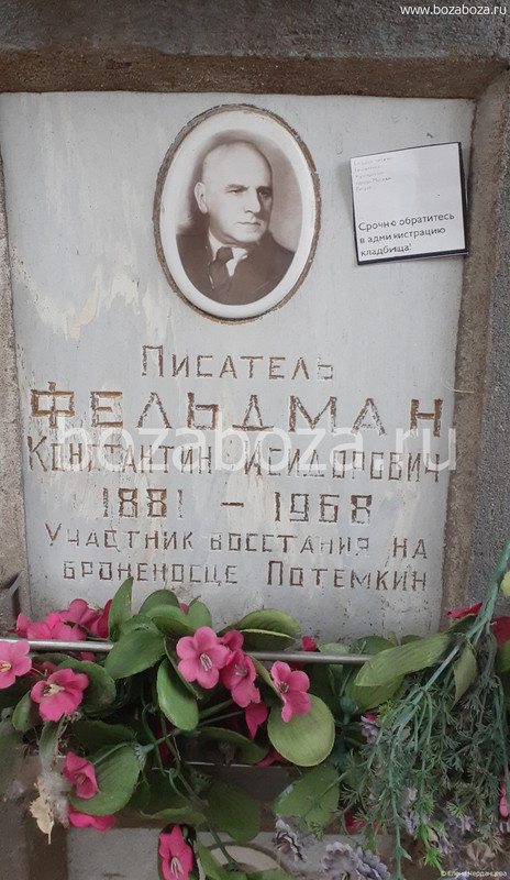 Фельдман Константин Исидорович 1887 1968 гг — Postimages