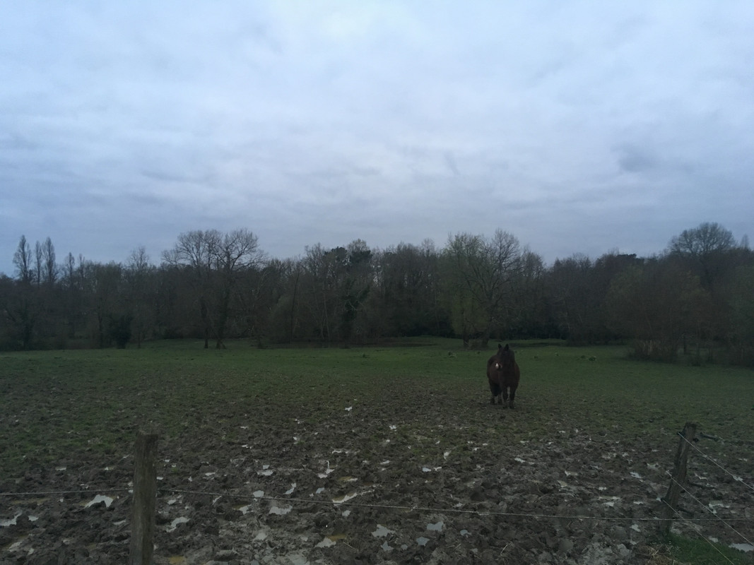 0DA0D944-E8A3-4A24-92F8-C4EB226EDDA3