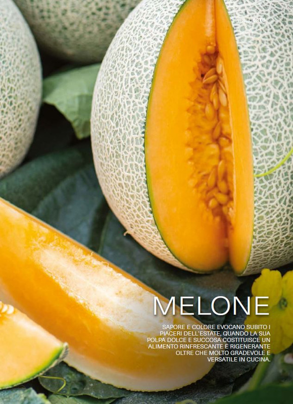 Il Mio Giar Giu-Lug 2025 (4)