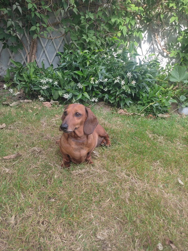 [Image: IMG-20250621-175559.jpg]