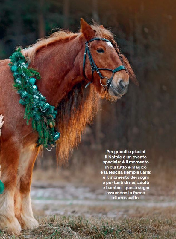 Il Mio Cav (Dic 2022-Gen 2023) 2