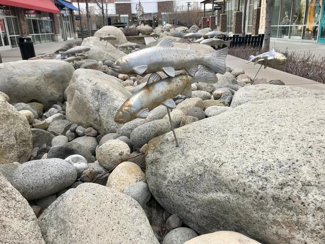 [Image: C7-ED4934-9793-43-FA-AAEE-3-BDA88264-E06.jpg]