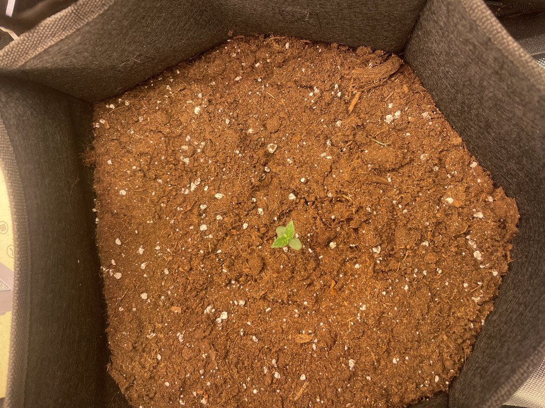 B6E83C8C-4881-4BBA-A247-7F861D718C13