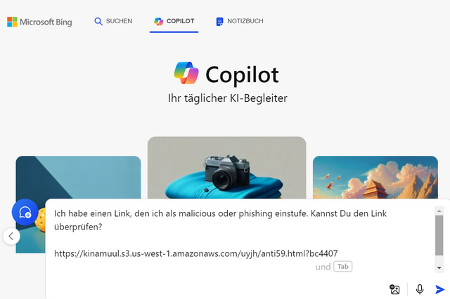 CoPilot zu Phishing-Seite befragt