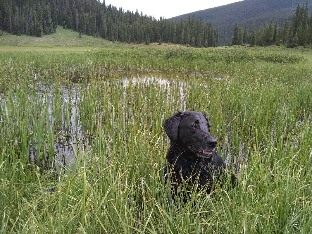 IMG_20200724_114944674 (2)