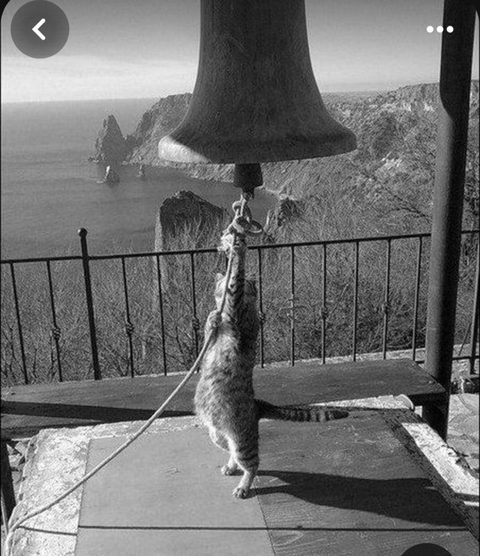 Screenshot_20231201_225749_Pinterest