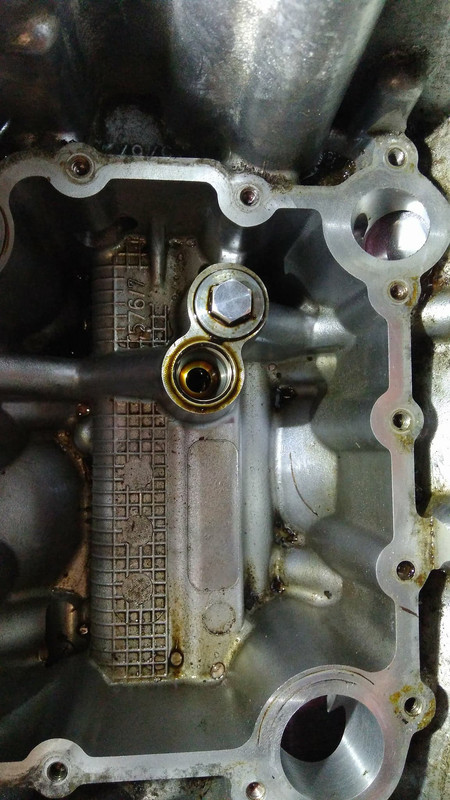 32724812_1804863166238989_8547847417192513536_n