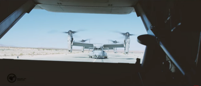 ospreys en afarée