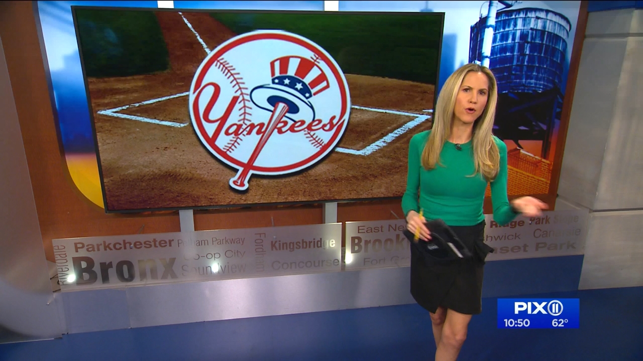 10.15 - 03.00.00 - PIX11 News at 10 with Tamsen Fadal and Kori Chambe....ts_snapshot_11.13.893