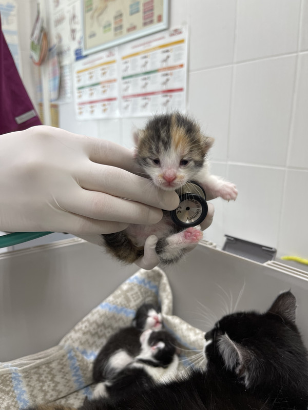 43FD0533-555D-428A-93E9-6163647C4229