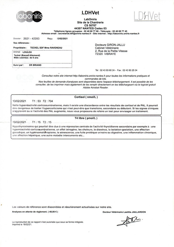 [Image: loulou20210711-19245057.jpg]