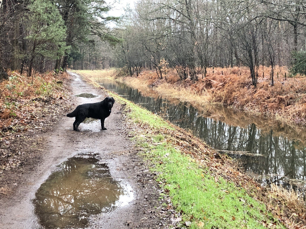 768DDA5E-CFEB-40B6-B5BE-D2FF353D50DD