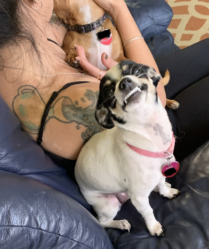 8E030DB7-EEA3-46D1-A969-BC48DA051697