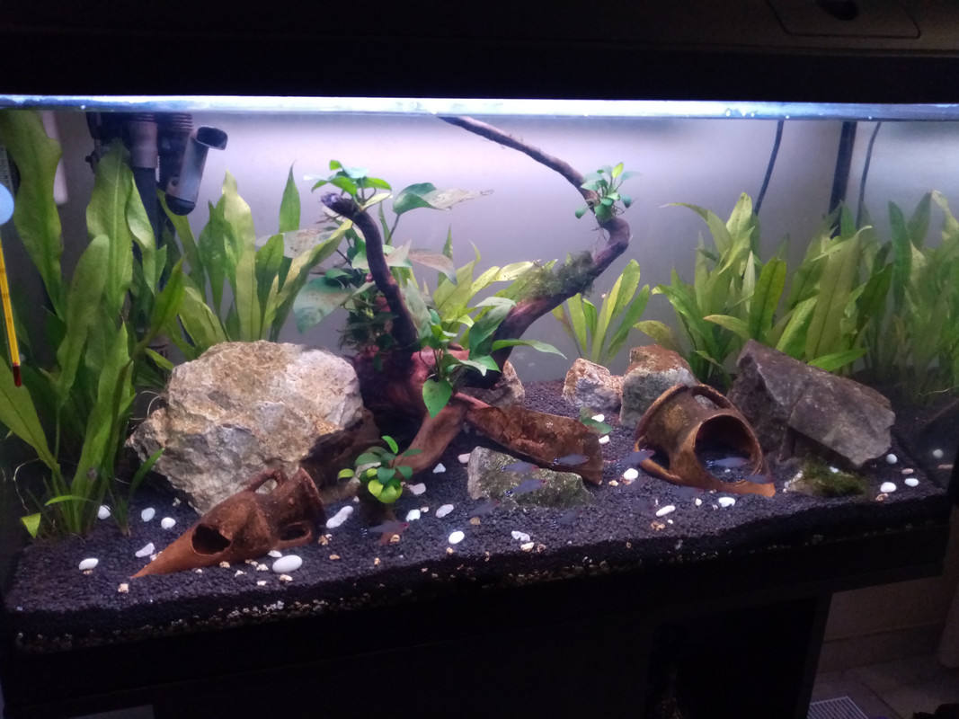 IMG_20200921_183931 (1)