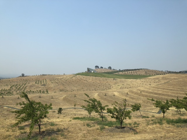 7-E6612-D1-C92-F-442-A-873-D-7-D13-CDD0-