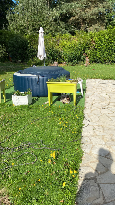 160A8CF5-6179-4D86-8CAC-731E7DD63592