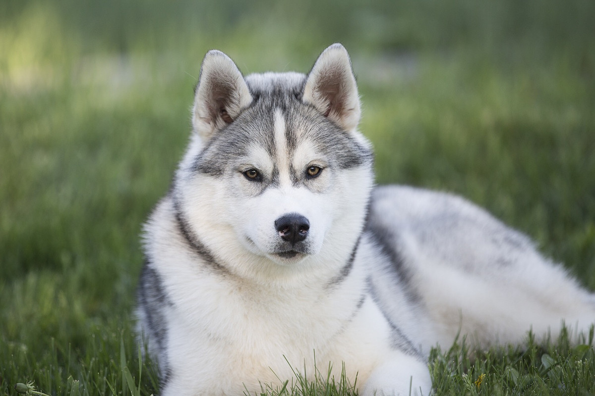 DA7DB087-C4D9-4804-9819-7F3342134CD6