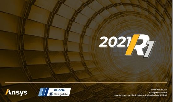 ANSYS 2021 R1 nCode DesignLife (x64)