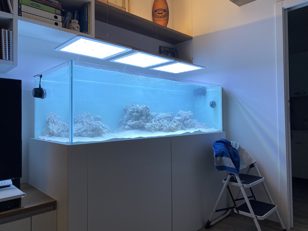 7D8B65FA-736C-42AA-9B62-B7DAC0E8E760