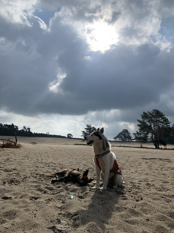 D21DE48E-1438-41FD-9074-1C2D36B70B93