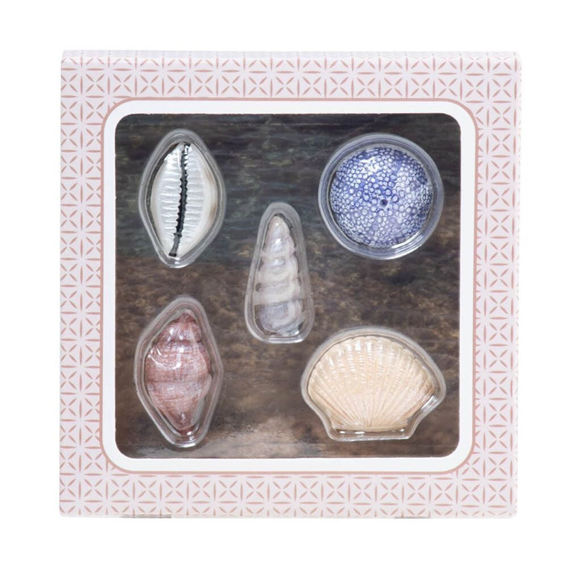 DIFFUSER DÉCOR: SHELLS