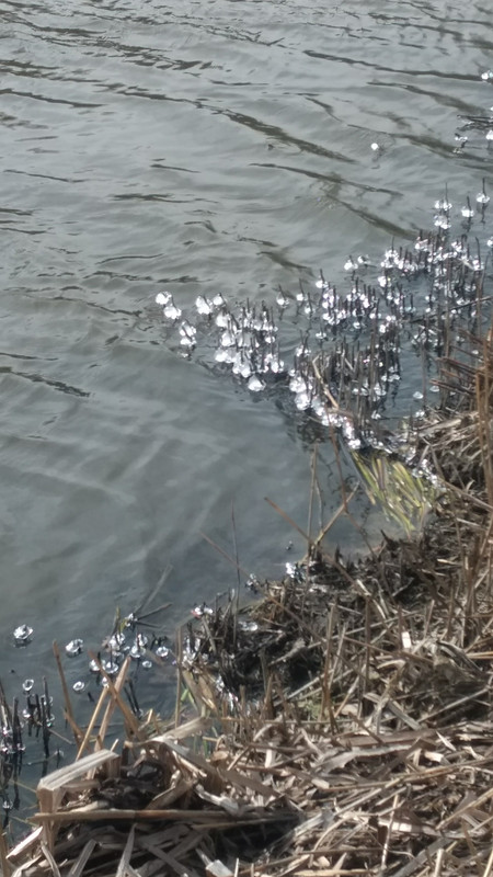 IMG_20180318_115343081