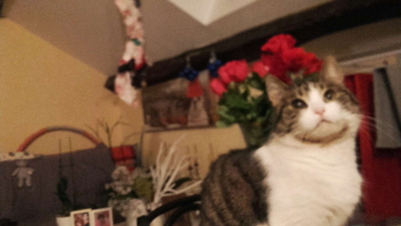 91F58579-AD58-4775-AD7D-5A366FC6F96D