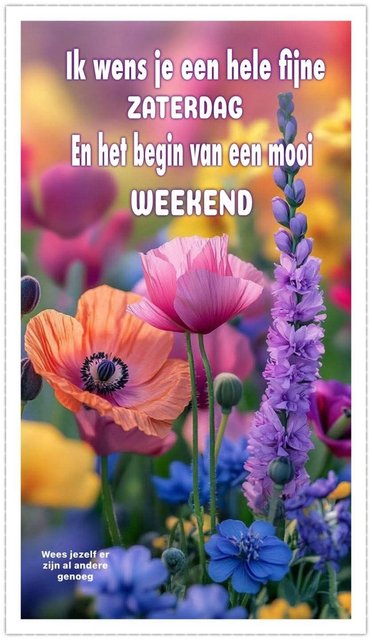 zaterdag
