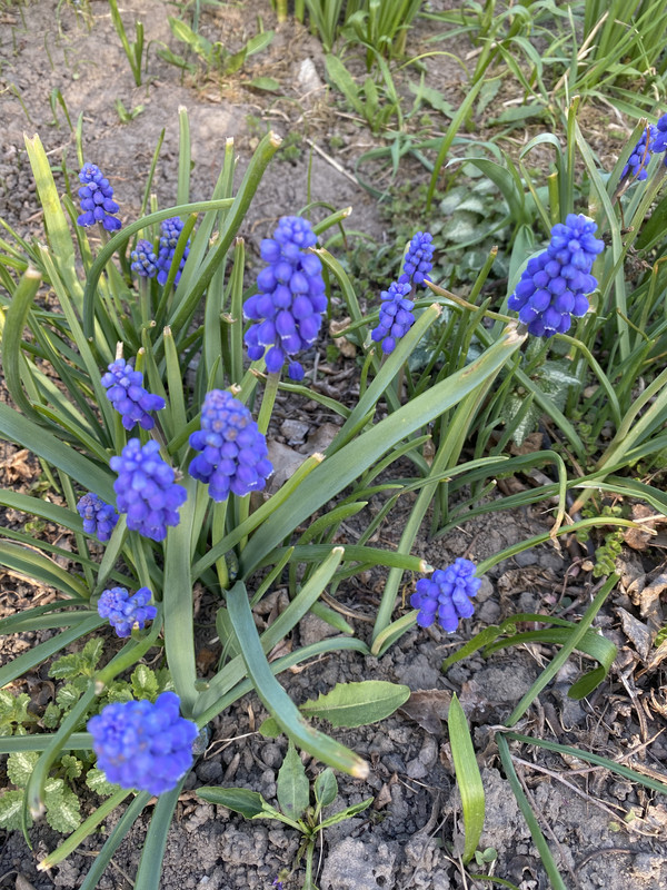 DB96AEFA-6FD8-4834-B1B3-99557BE20EA8