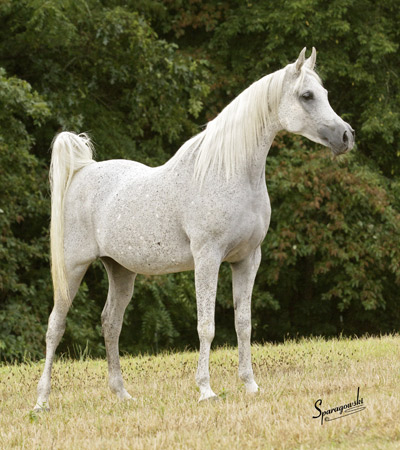 72E82A3B-D722-4E0A-A4EF-65FA89BA6E4A