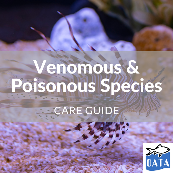 OATA Guide to marine fish Venomous... - Lincs Aquatics