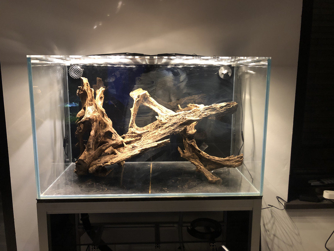 F039BCFD-3223-4ABA-AAB6-315EE18C6C1A