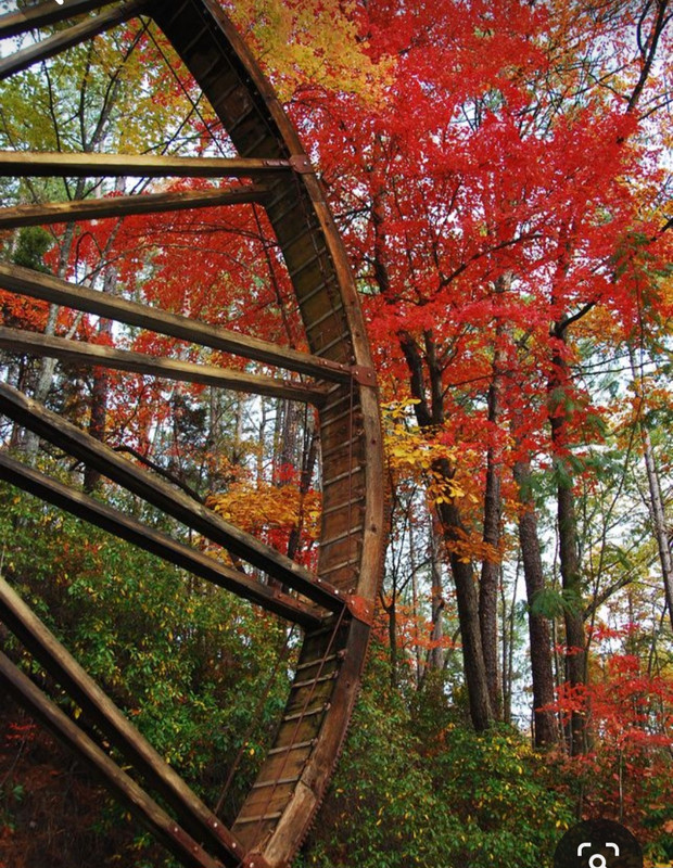 Screenshot_20231112_230827_Pinterest