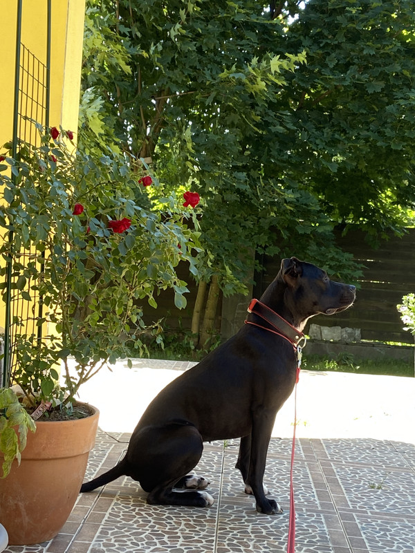 7C596103-E34B-40D8-A9C1-001678DD7A92