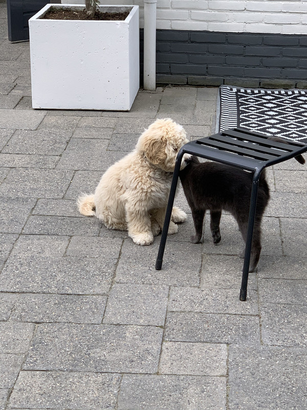 088CB874-49DC-4DD1-9ABC-EAEE3A095F6D