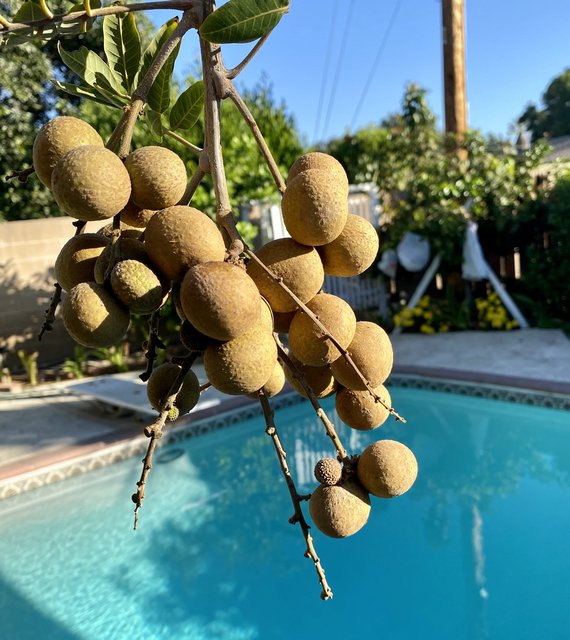 [Image: B52708-B5-0382-4164-A3-F0-499185-B45513.jpg]