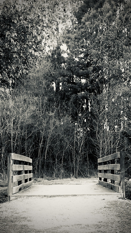 Small bridge along a gravel walking path