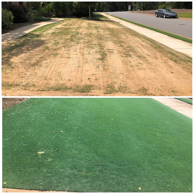 C08CC735-4D1C-4E78-AD36-28621F2C4B14