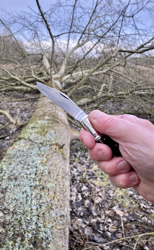 112416D3-7E3C-4F5D-A5EB-7365BAEFCB32