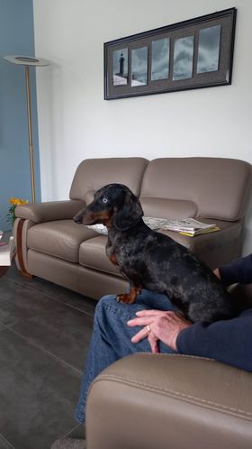 [Image: 324646053-546201767476043-7292740893049508146-n.jpg]